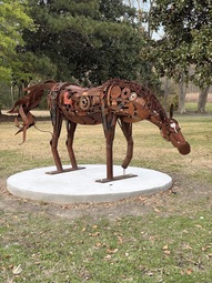 Horse_Bowling