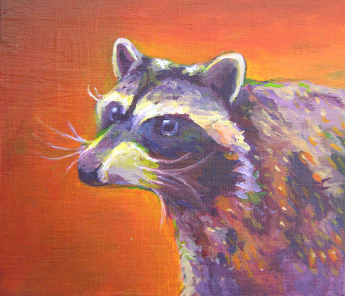 Fat raccoon