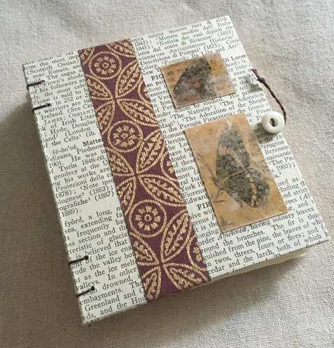 Butterfly book1d